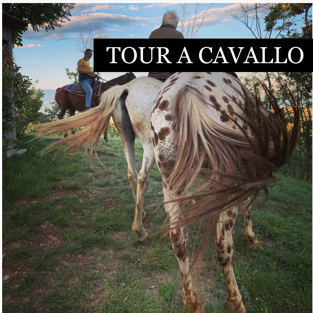 Tour a cavallo - categorie tour shop - Garda E-motion
