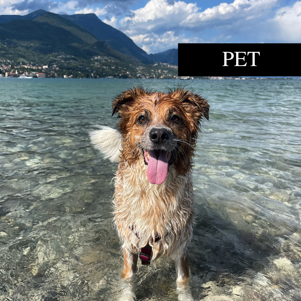 Pet friendly | Shop Experiences Lake Garda - Garda E-motion