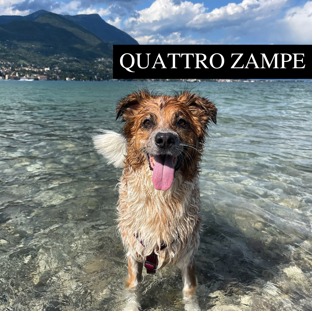 Con il Cane | Shop - Esperienze Lago di Garda - Garda E-motion